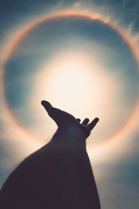 luz-sol